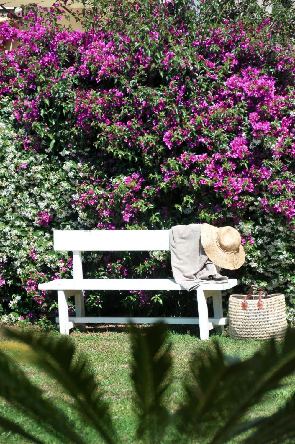 Casa Le Agavi Ξενοδοχείο Portoferraio Εξωτερικό φωτογραφία